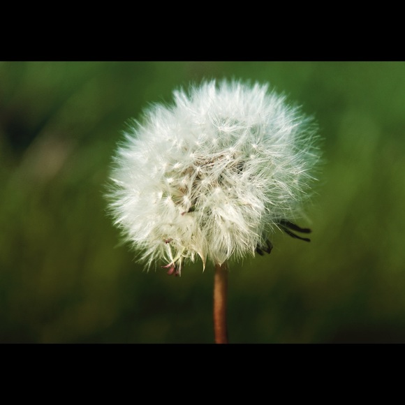 Meet your Posher, Miguel - Picture 1 of 1